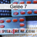 Gelée 7 05